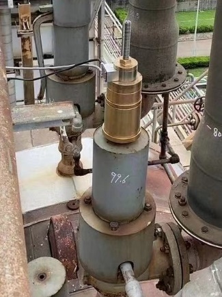 Safety valve online verification