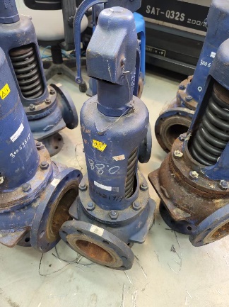 Safety valve maintenance